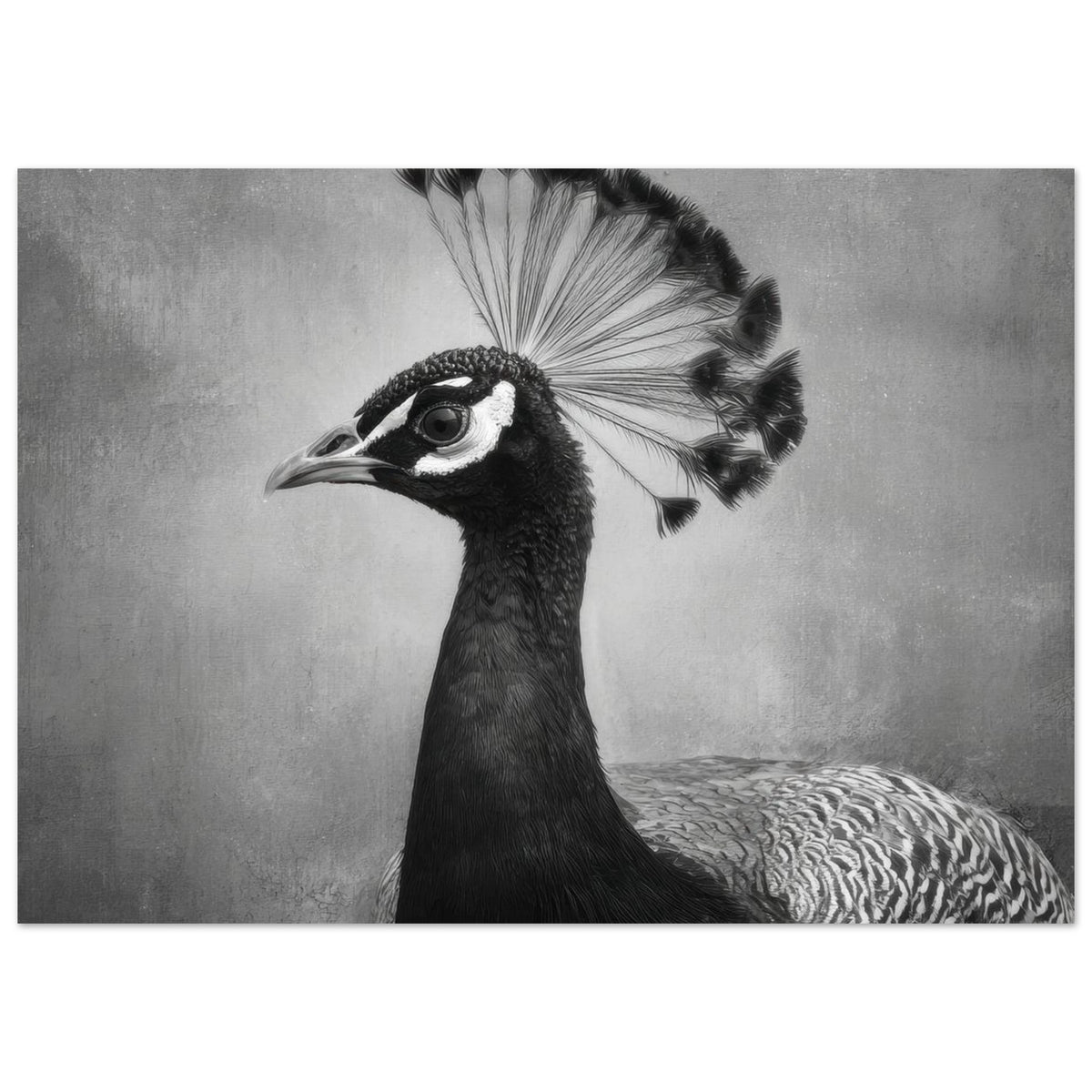 Peacock Front 2 - Shop Ai Art WebShop - Digital Art online Store