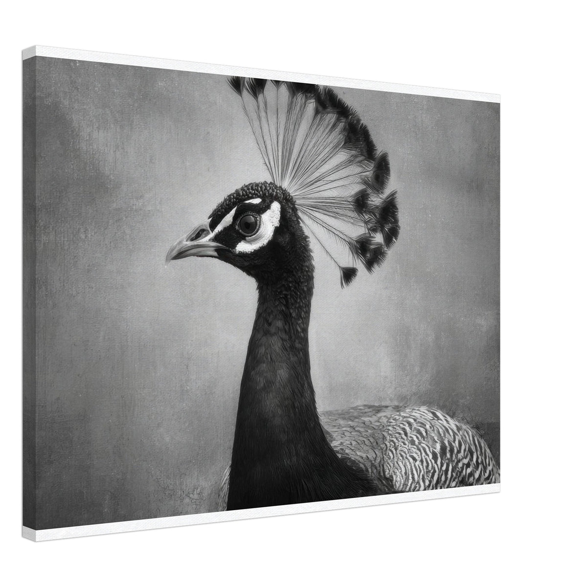 Peacock Front 2 - Shop Ai Art WebShop - Digital Art online Store