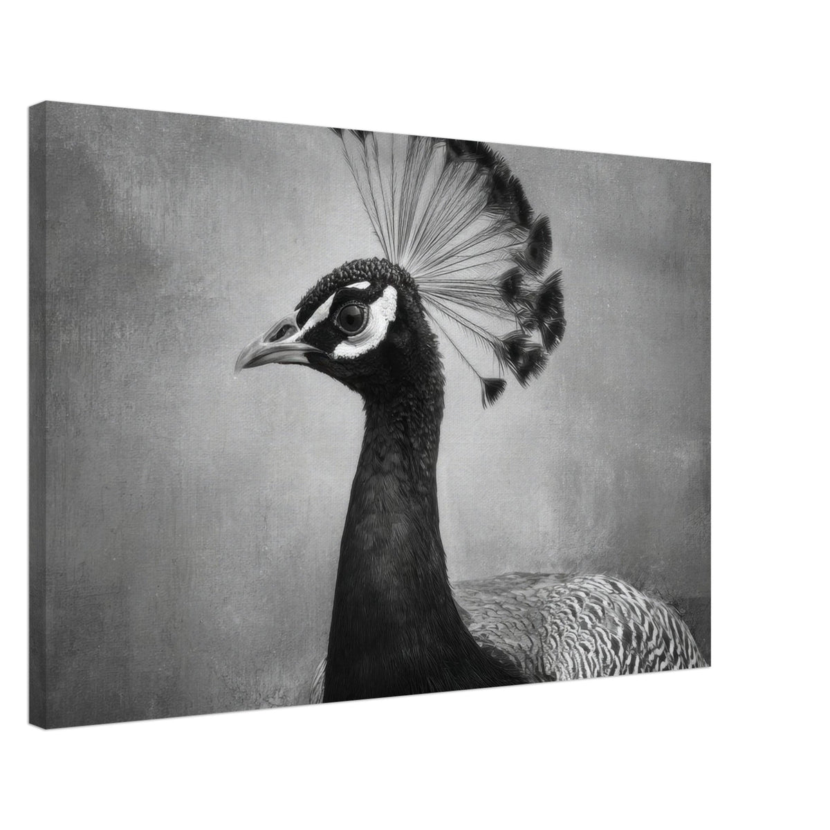 Peacock Front 2 - Shop Ai Art WebShop - Digital Art online Store