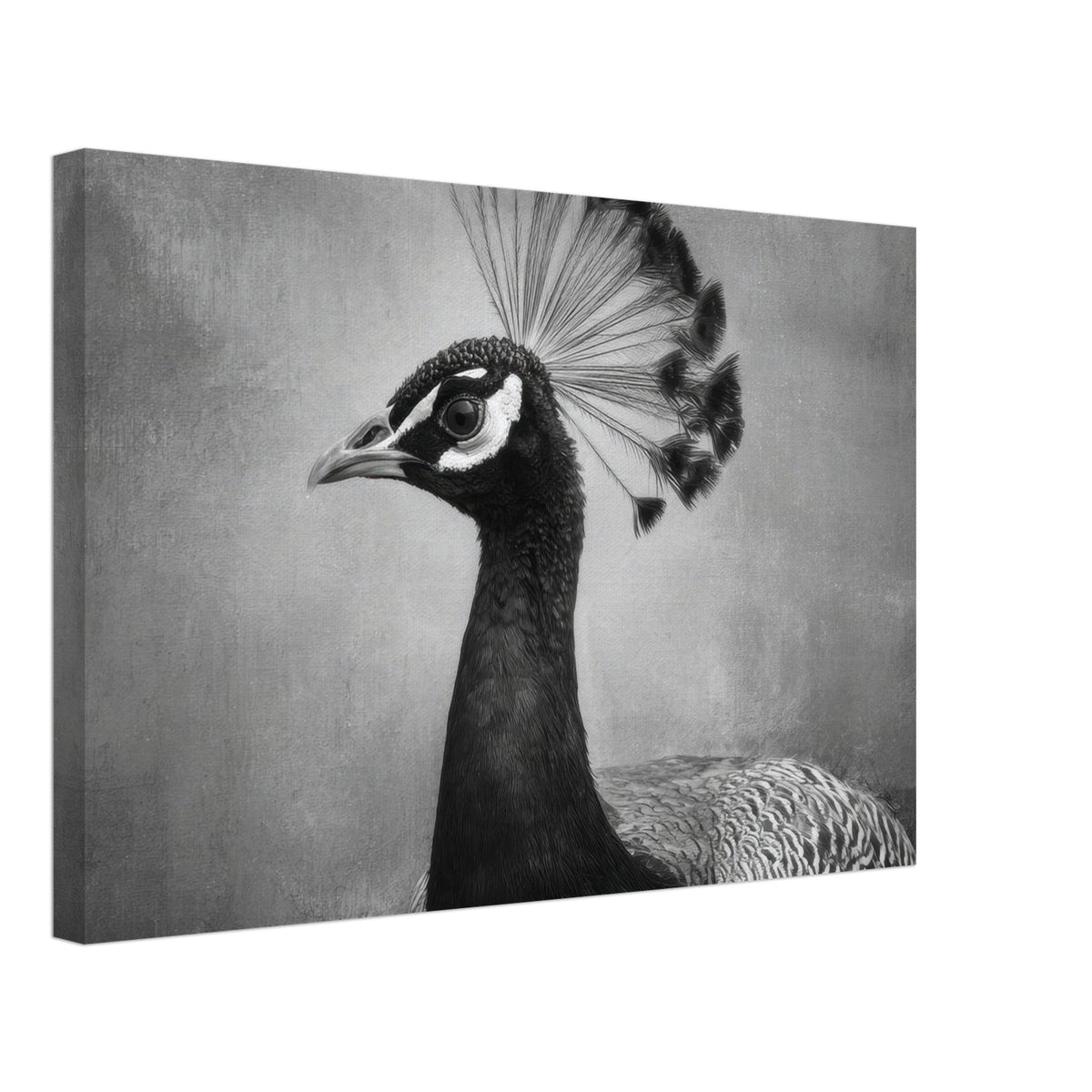 Peacock Front 2 - Shop Ai Art WebShop - Digital Art online Store