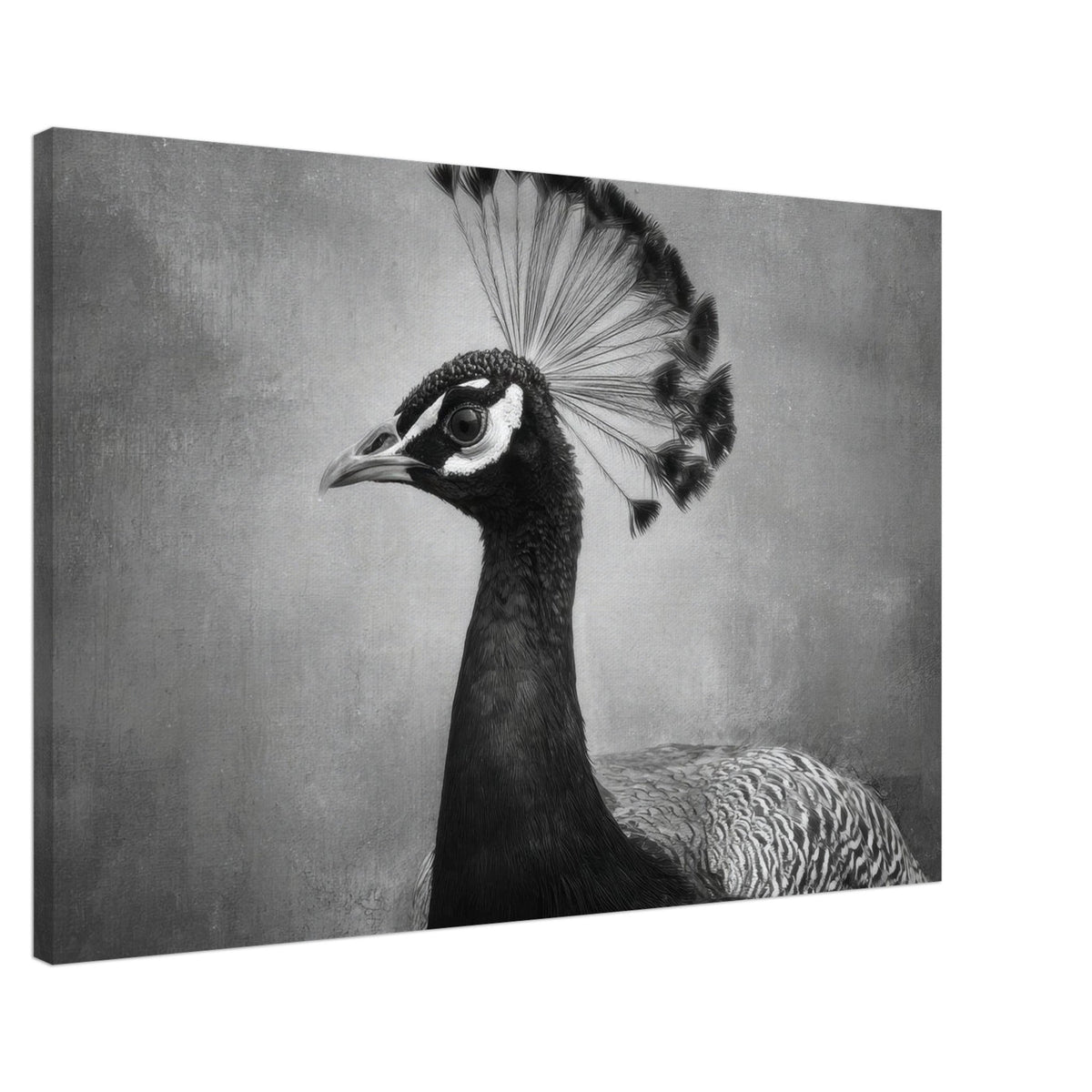 Peacock Front 2 - Shop Ai Art WebShop - Digital Art online Store
