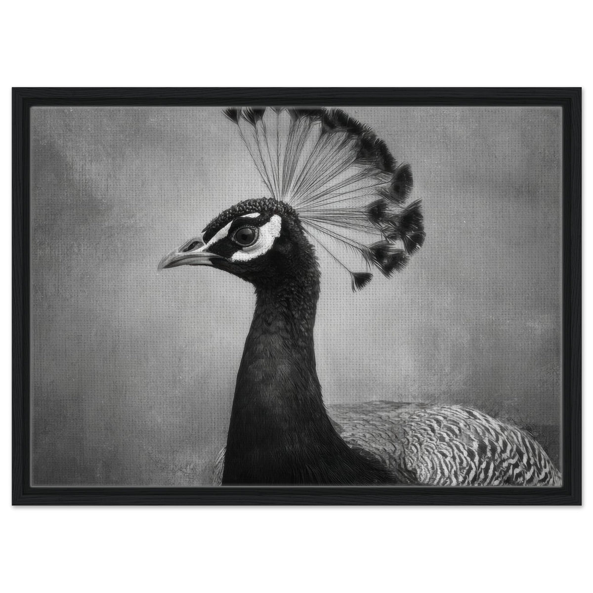 Peacock Front 2 - Shop Ai Art WebShop - Digital Art online Store