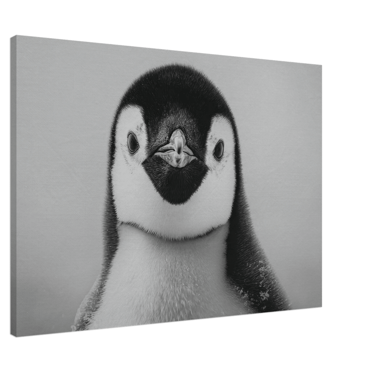 Penguin Face 2 - Shop Ai Art WebShop - Digital Art online Store