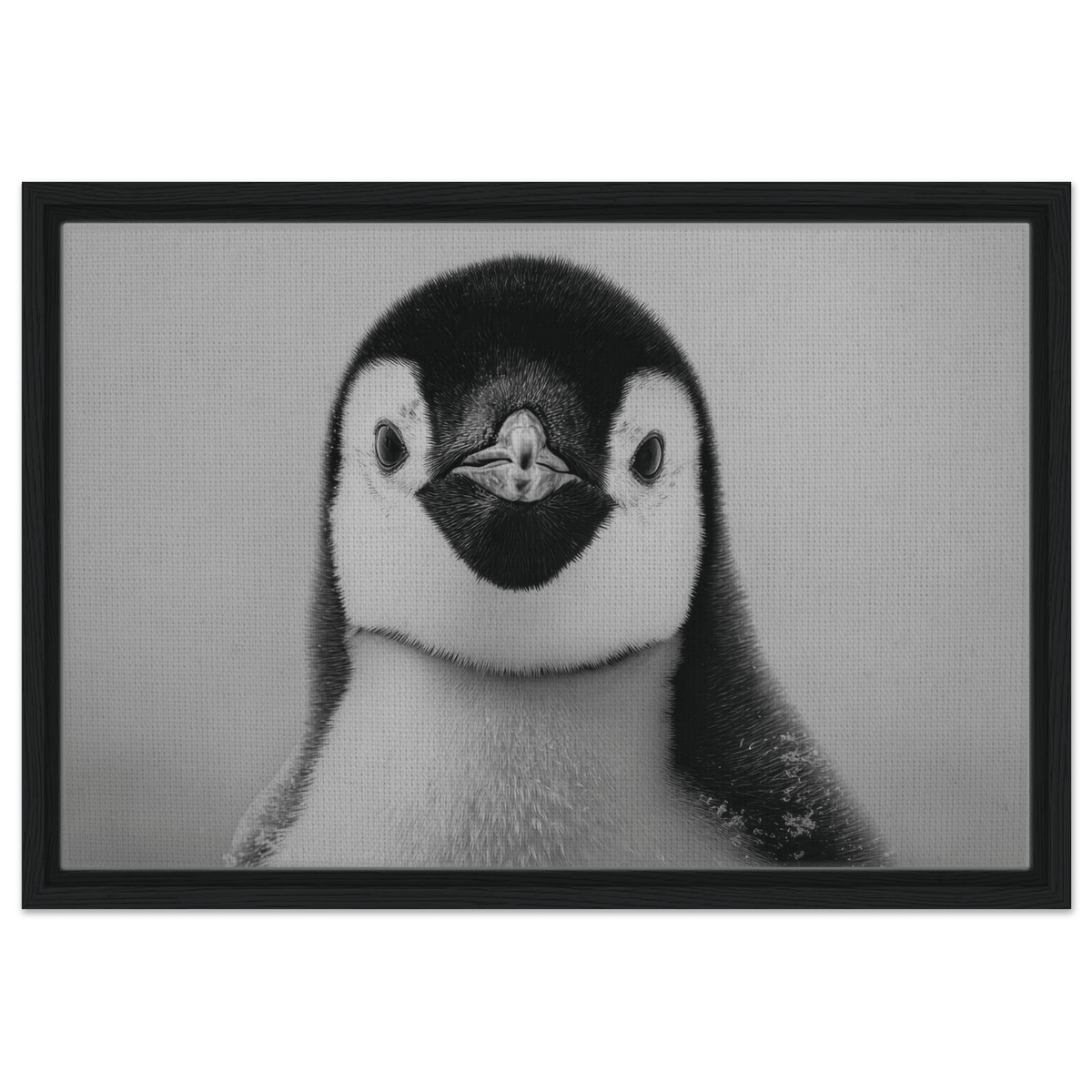 Penguin Face 2 - Shop Ai Art WebShop - Digital Art online Store