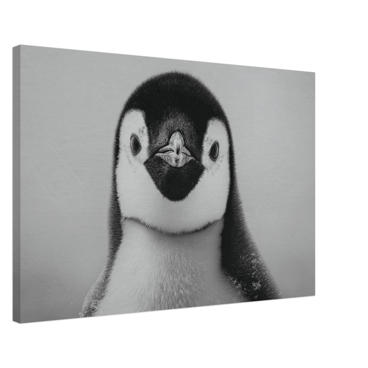 Penguin Face 2 - Shop Ai Art WebShop - Digital Art online Store