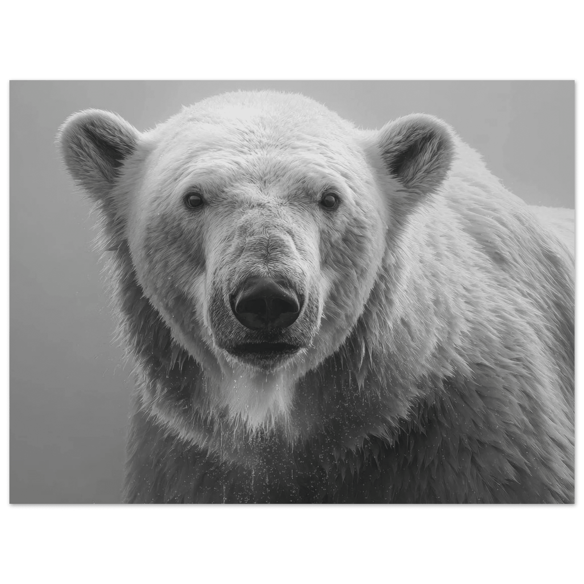 Polar Bear 0 - Shop Ai Art WebShop - Digital Art online Store
