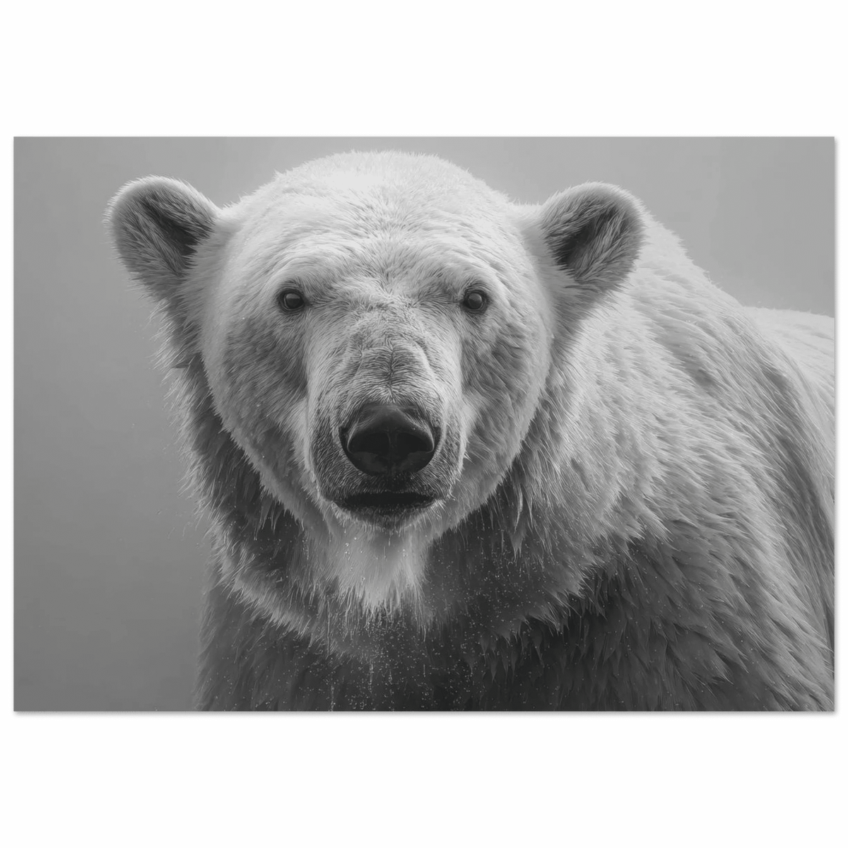 Polar Bear 0 - Shop Ai Art WebShop - Digital Art online Store