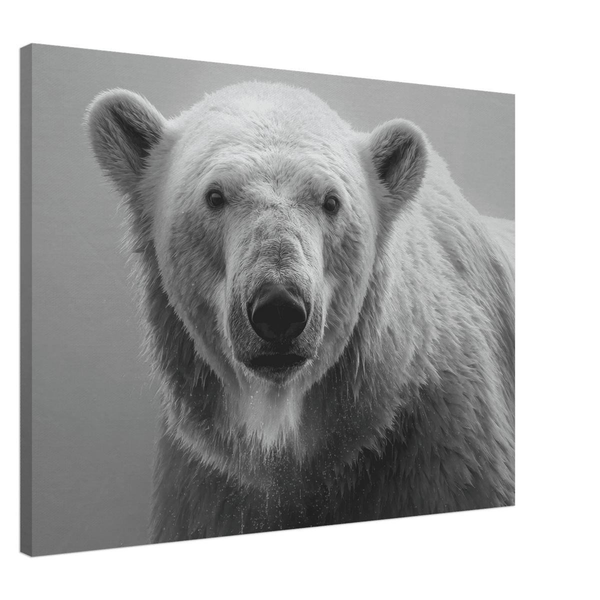 Polar Bear 0 - Shop Ai Art WebShop - Digital Art online Store