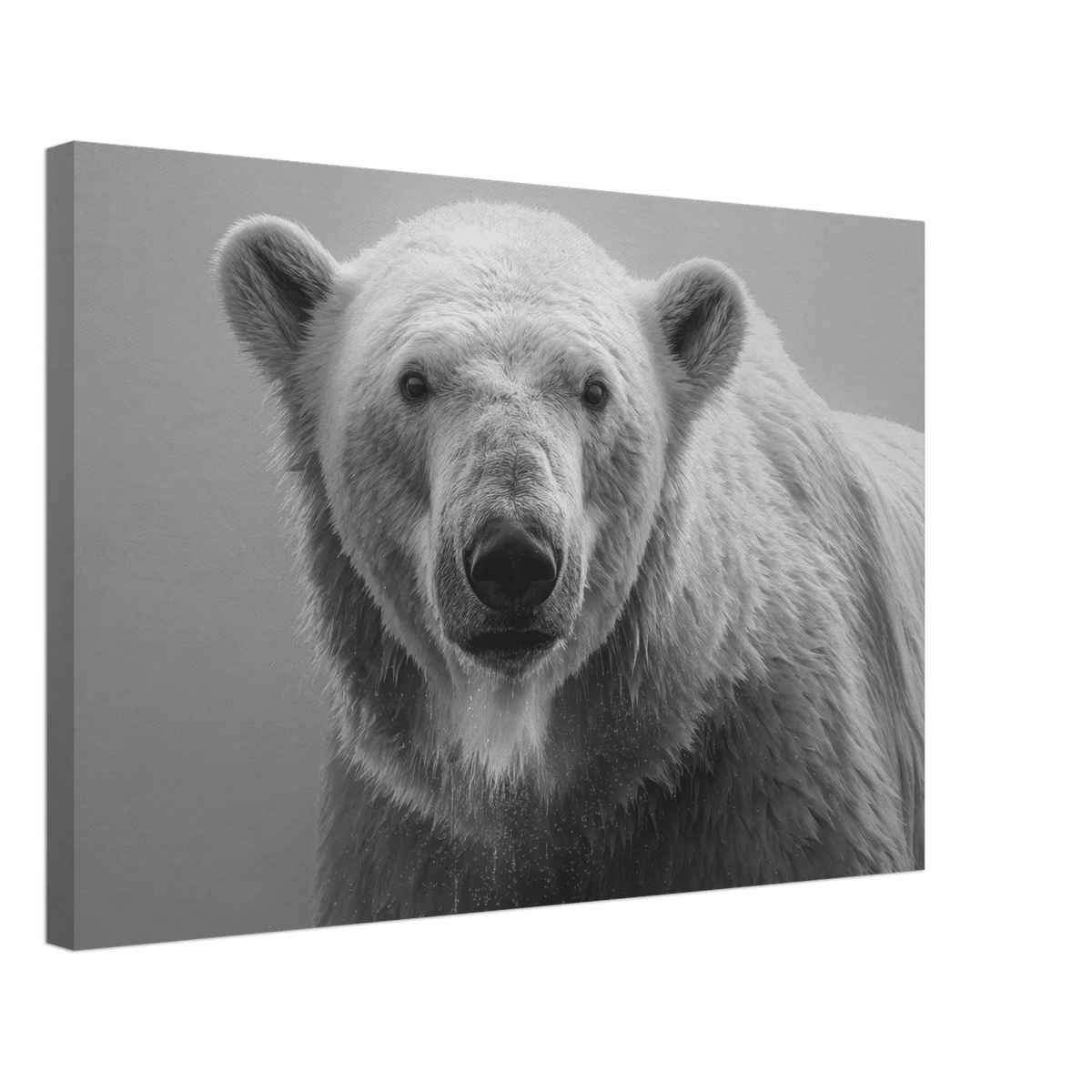 Polar Bear 0 - Shop Ai Art WebShop - Digital Art online Store