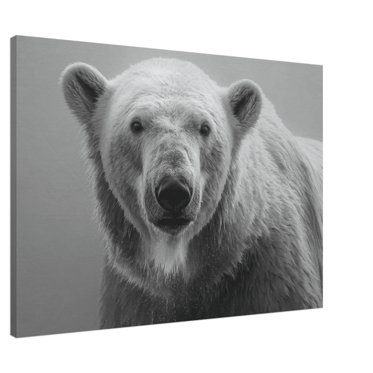 Polar Bear 0 - Shop Ai Art WebShop - Digital Art online Store