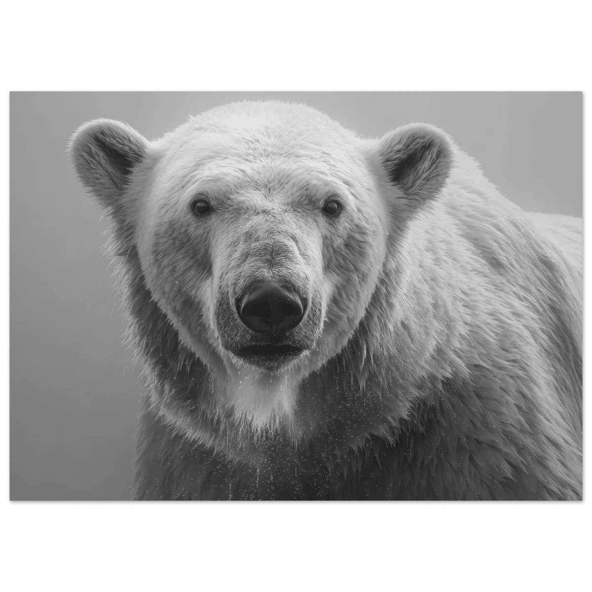 Polar Bear 0 - Shop Ai Art WebShop - Digital Art online Store