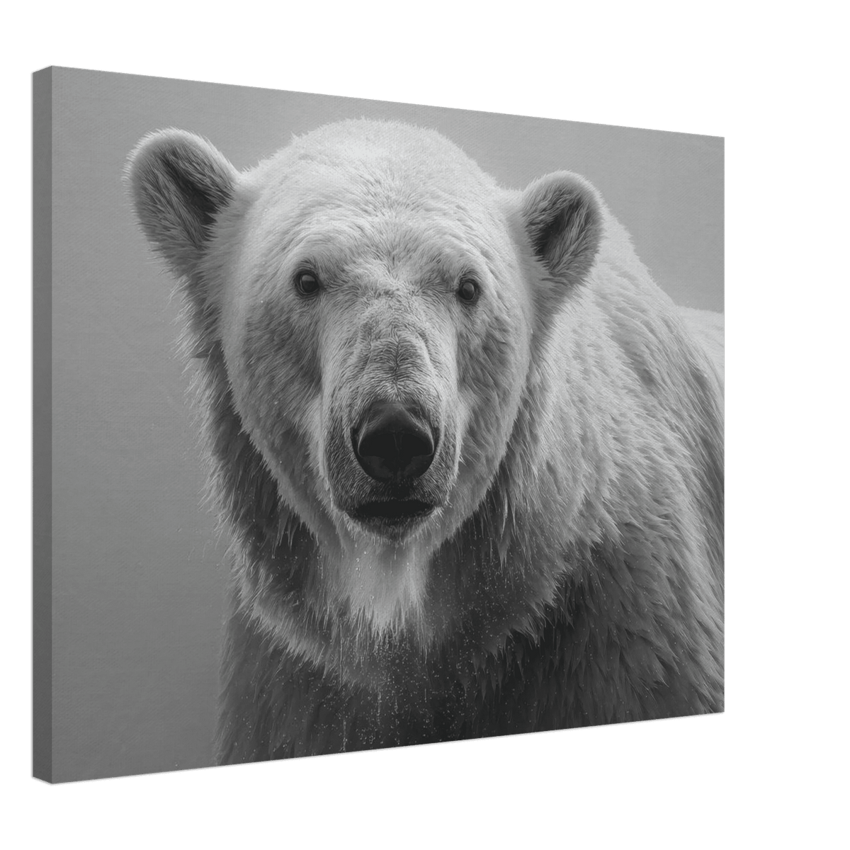 Polar Bear 0 - Shop Ai Art WebShop - Digital Art online Store