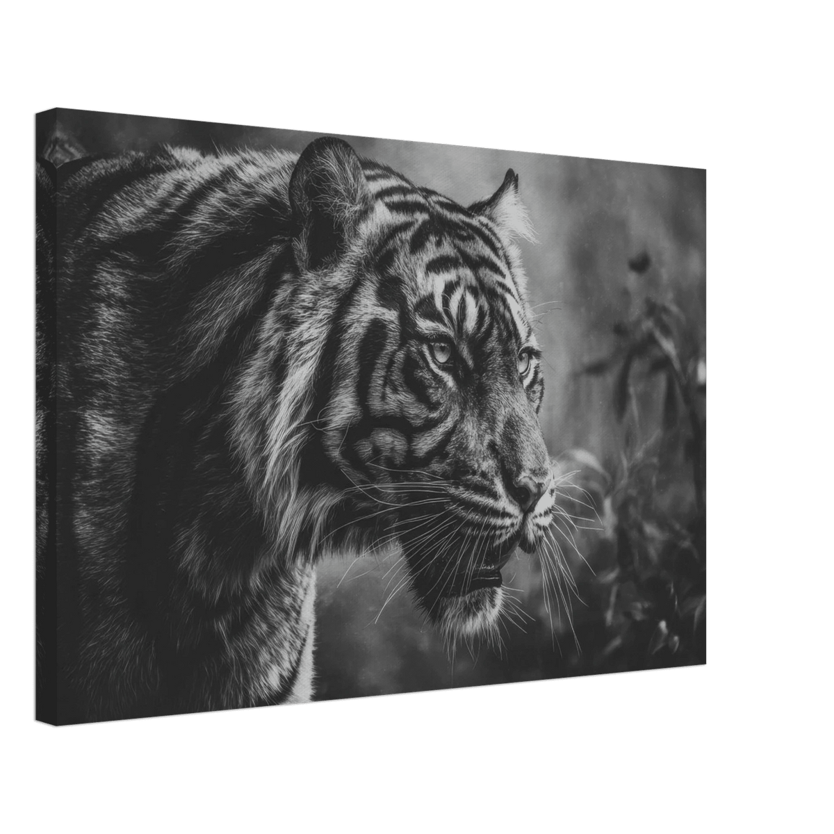 Tiger 0 - Shop Ai Art WebShop - Digital Art online Store