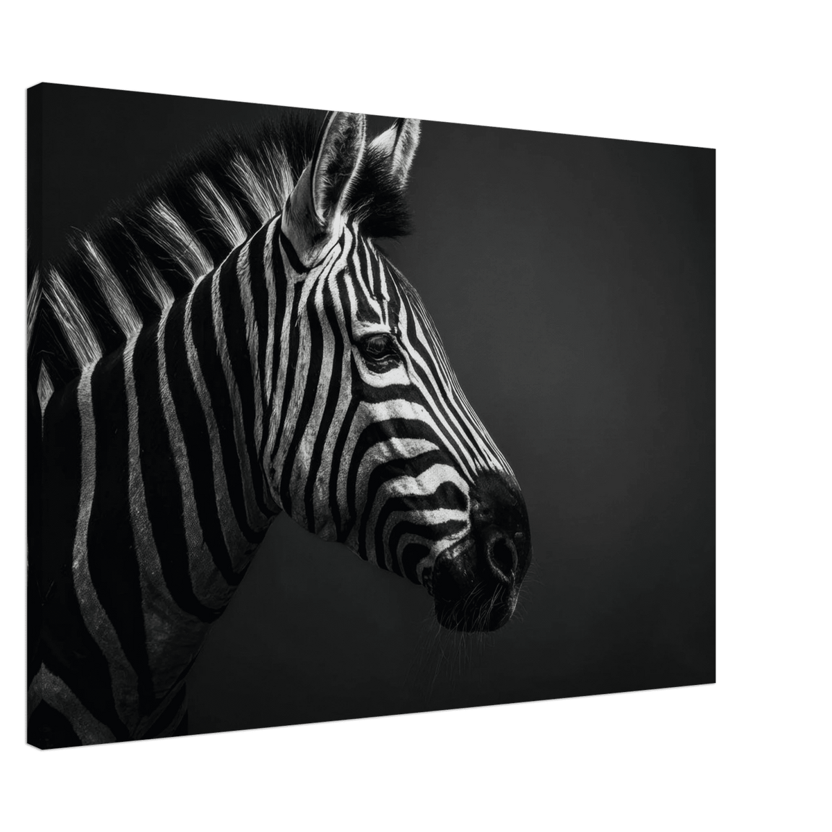 Zebra Close 4 - Shop Ai Art WebShop - Digital Art online Store