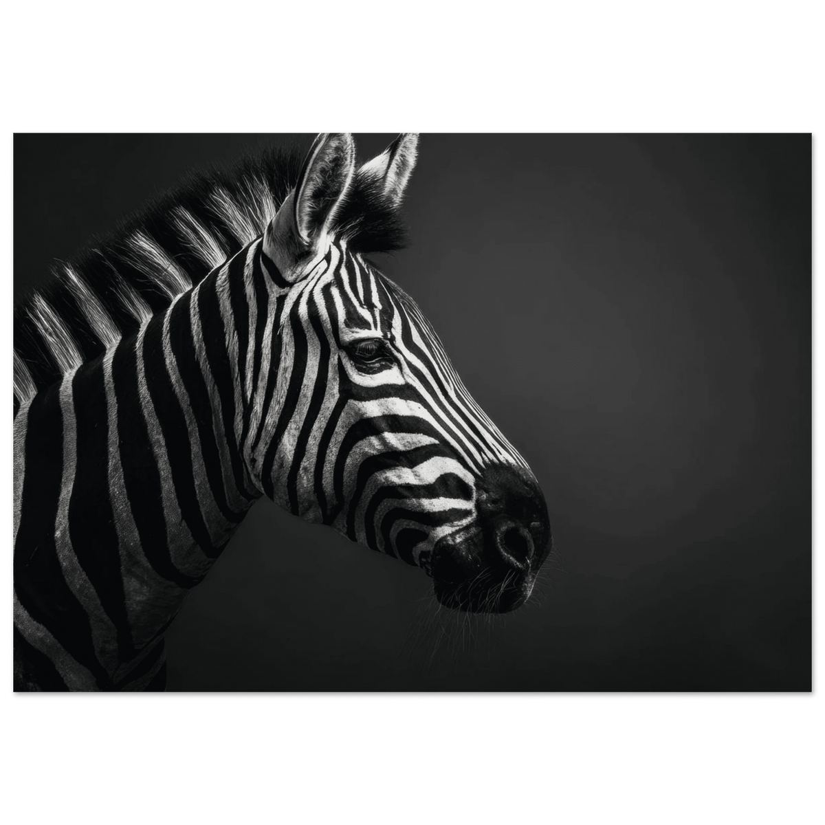 Zebra Close 4 - Shop Ai Art WebShop - Digital Art online Store