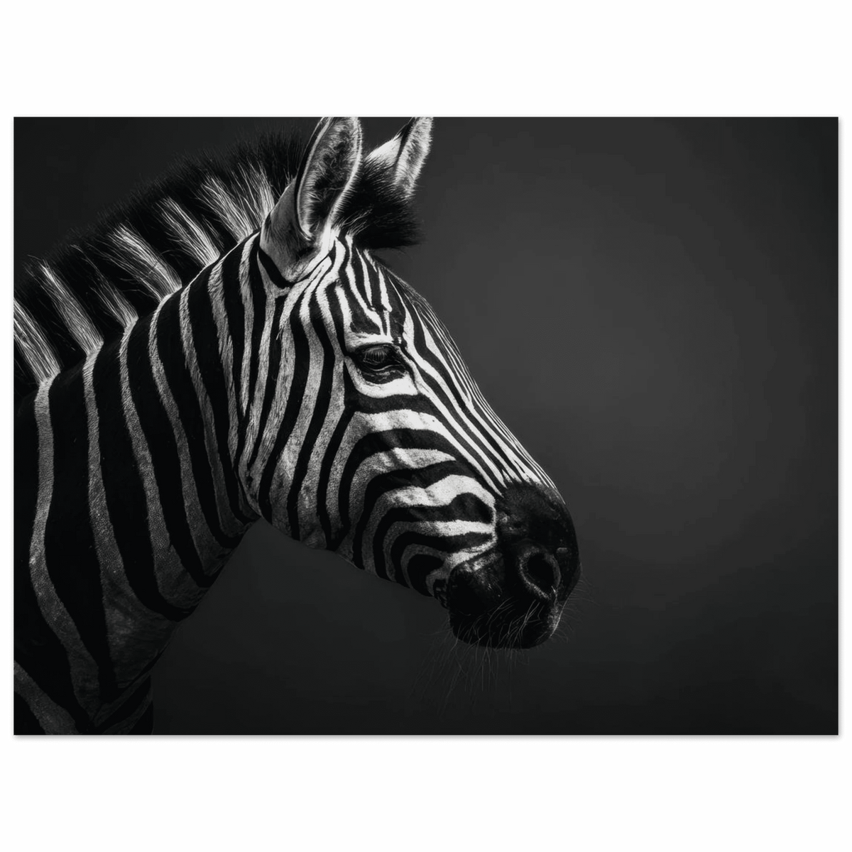 Zebra Close 4 - Shop Ai Art WebShop - Digital Art online Store