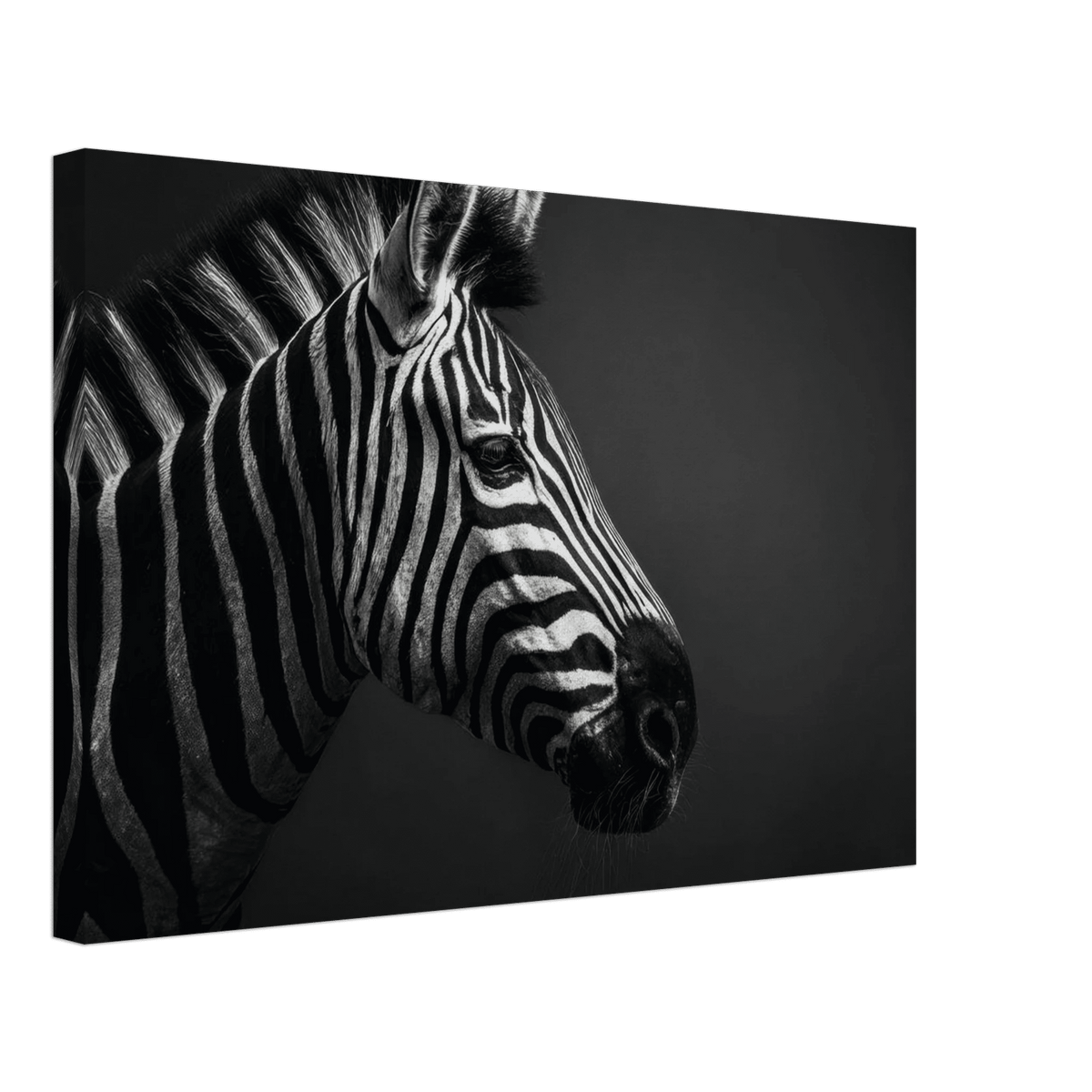 Zebra Close 4 - Shop Ai Art WebShop - Digital Art online Store