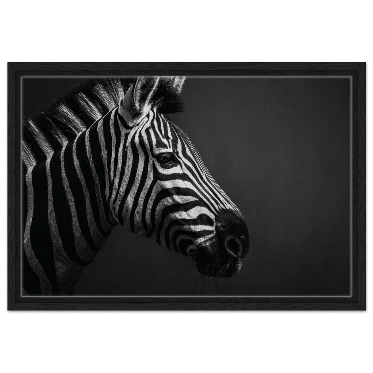 Zebra Close 4 - Shop Ai Art WebShop - Digital Art online Store