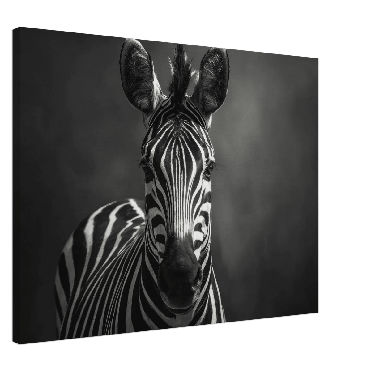 Zebra Head Facing Forward - Shop Ai Art WebShop - Digital Art online Store