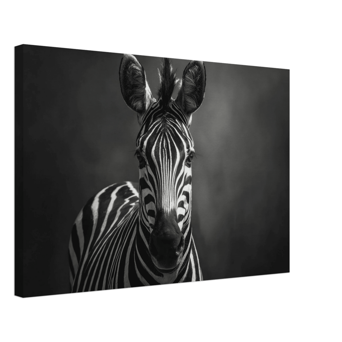 Zebra Head Facing Forward - Shop Ai Art WebShop - Digital Art online Store