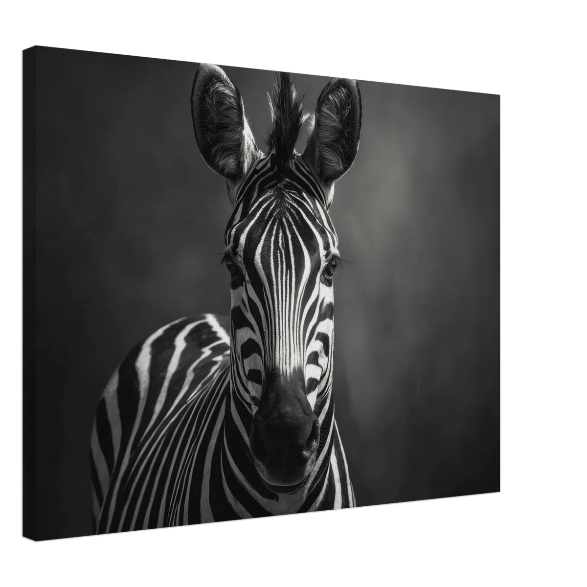 Zebra Head Facing Forward - Shop Ai Art WebShop - Digital Art online Store
