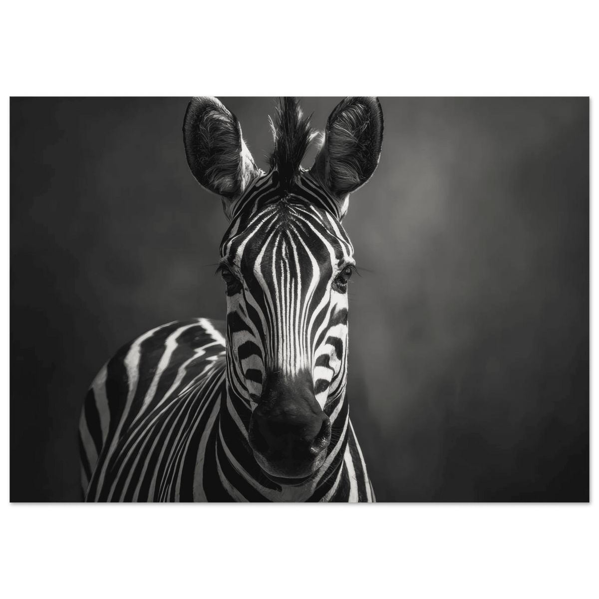 Zebra Head Facing Forward - Shop Ai Art WebShop - Digital Art online Store