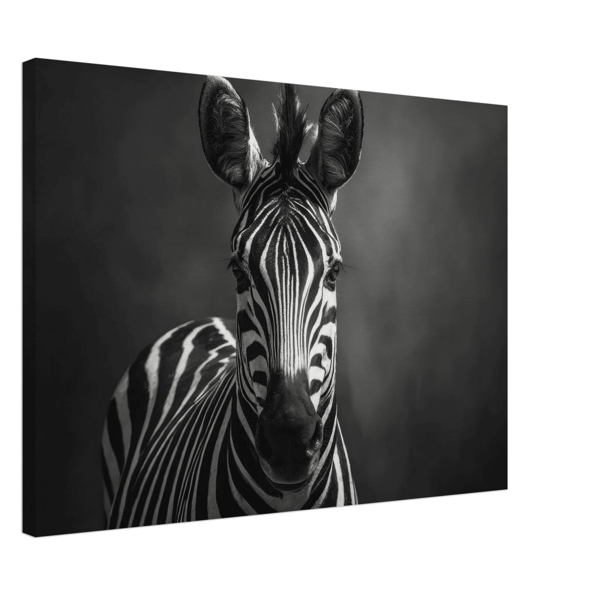 Zebra Head Facing Forward - Shop Ai Art WebShop - Digital Art online Store